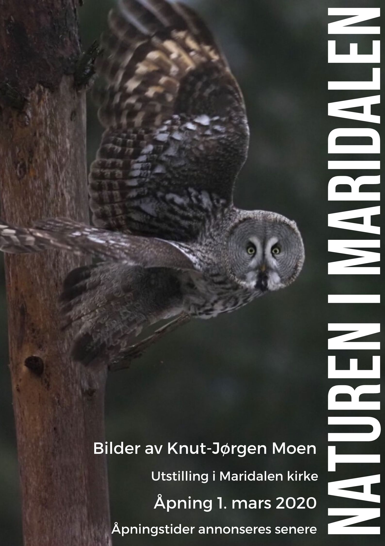 Naturen i Maridalen - fotoutstilling åpner 1. mars etter gudstjenesten