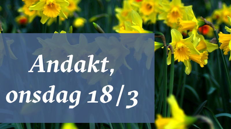 Andakt onsdag 18. mars