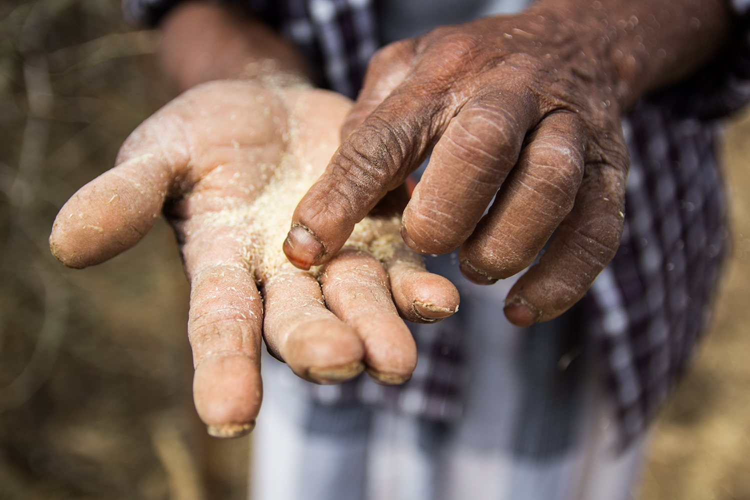 Internasjonal rettferd