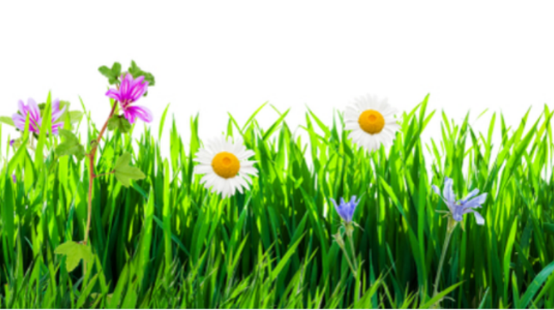 Sommer i Oppsal menighet