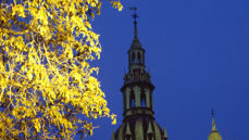 Kveldsstemning ved Oslo domkirke