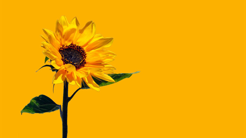 Minnegudstjeneste for dem vi har mistet som følge av rus