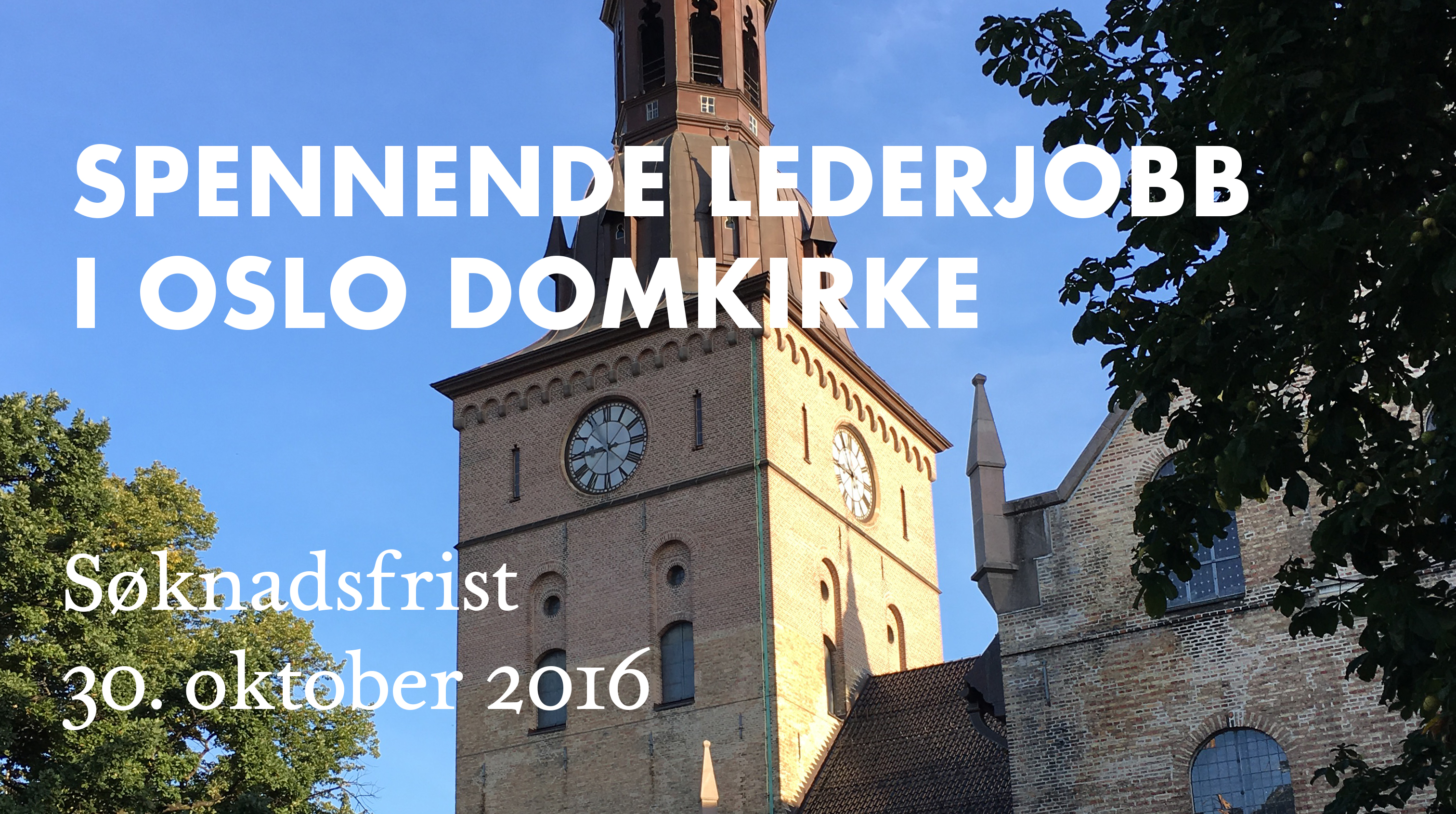 Lederjobb i Oslo domkirke