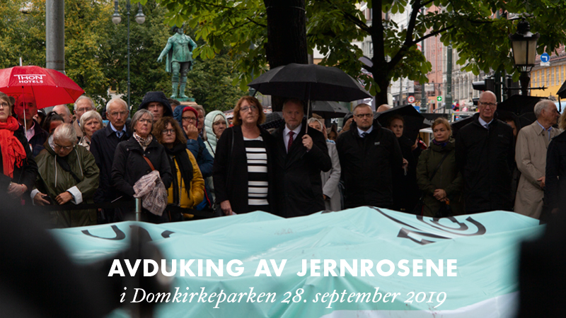 Jernrosene i Domkirkeparken