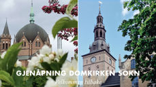 Trefoldighet. Foto: Pål Kristian Balstad. Oslo domkirke. Foto: Munch design