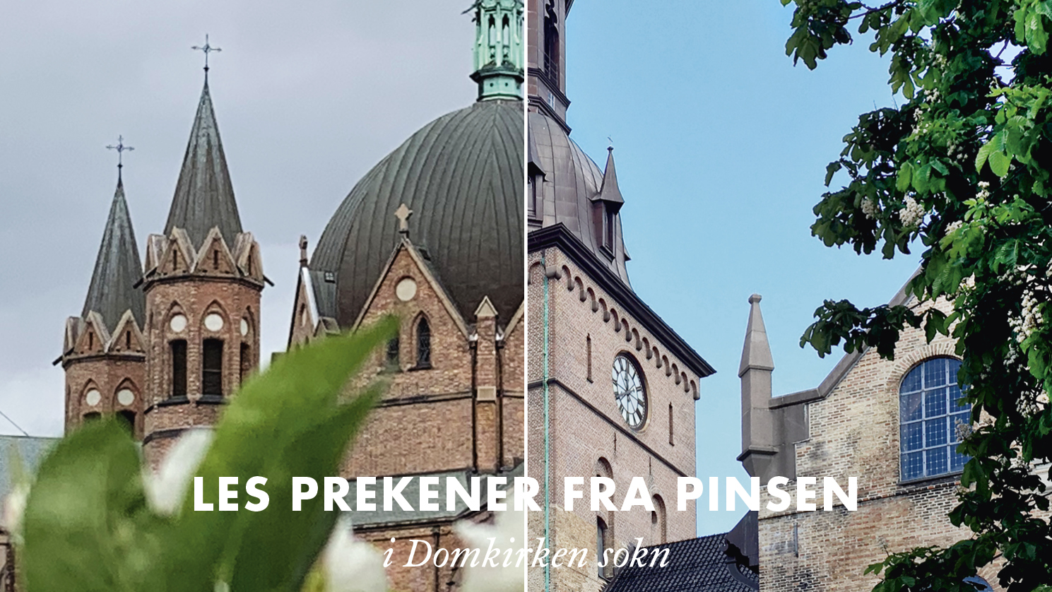 Prekener fra pinsen i Domkirken sokn