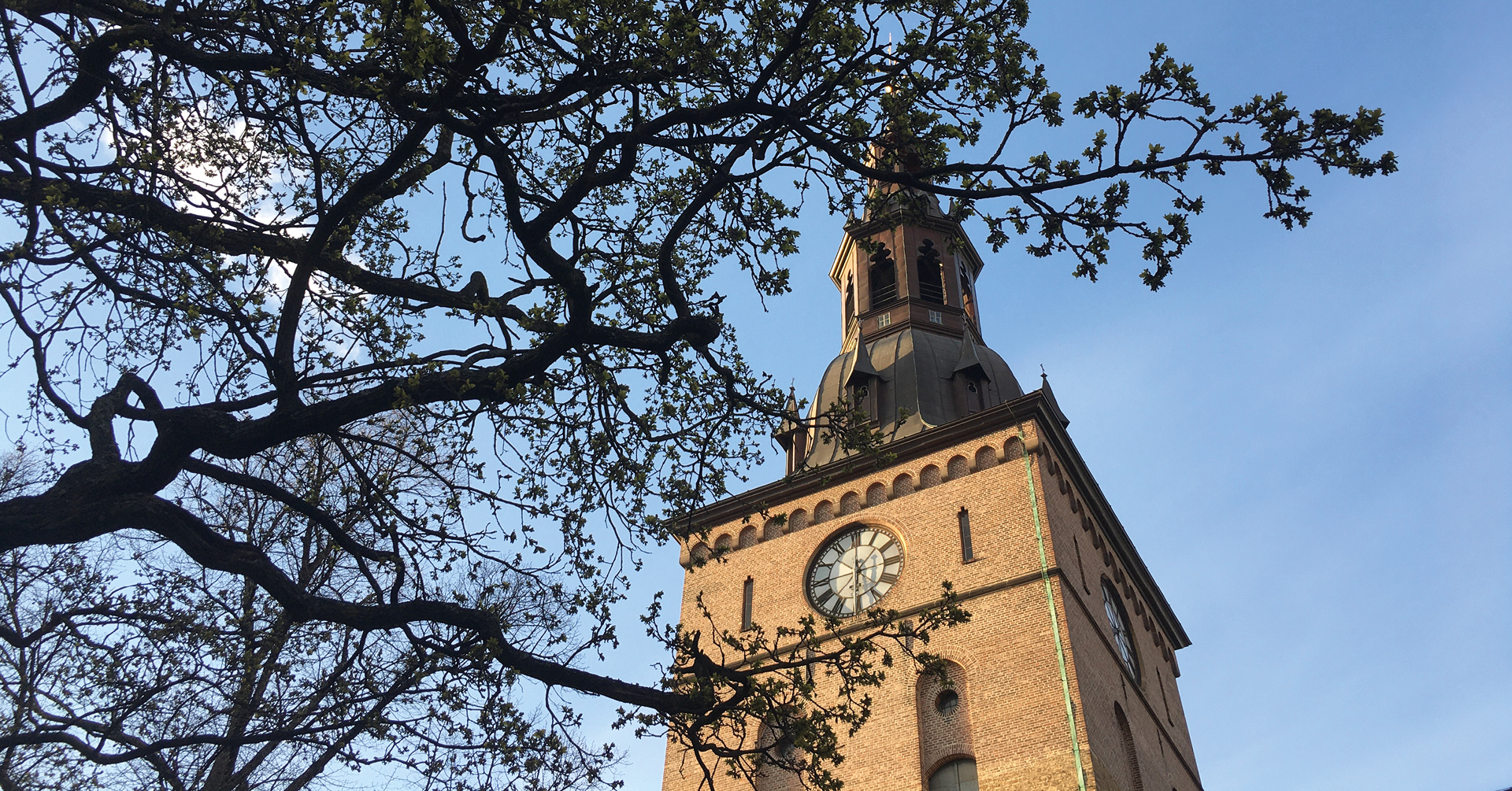 Oslo domkirke 8.–15. august 