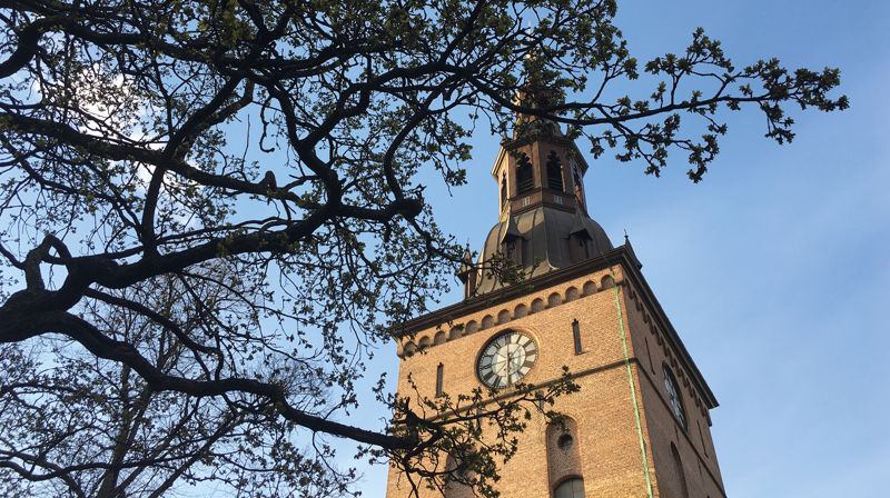 Oslo domkirke 1.–8. august