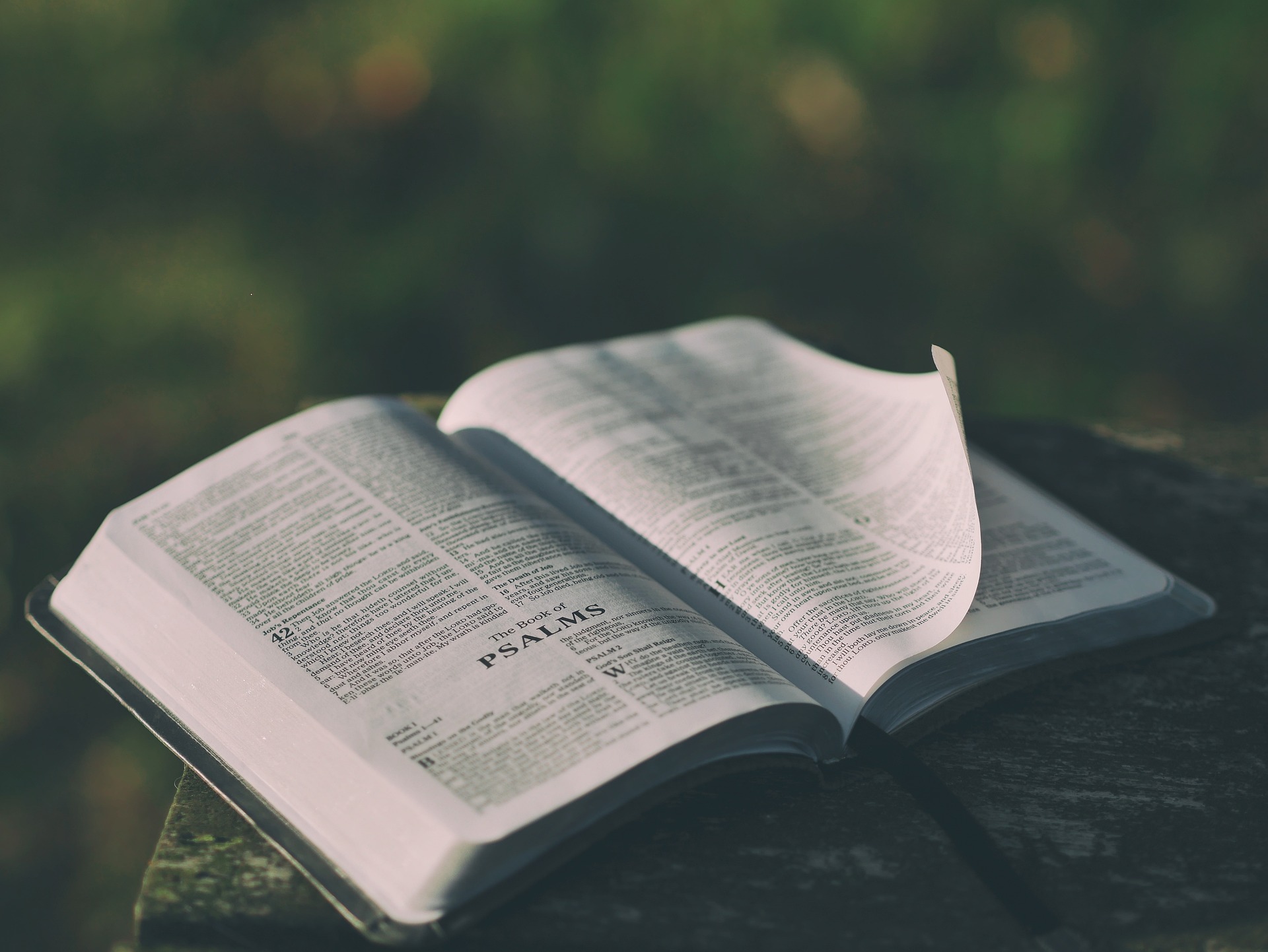 Image from the Bible, Book of Psalms