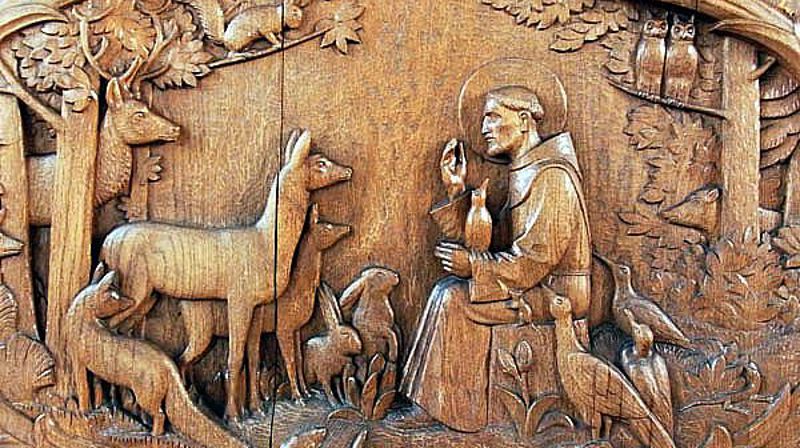 "Han talte til fuglene og til dyrene"