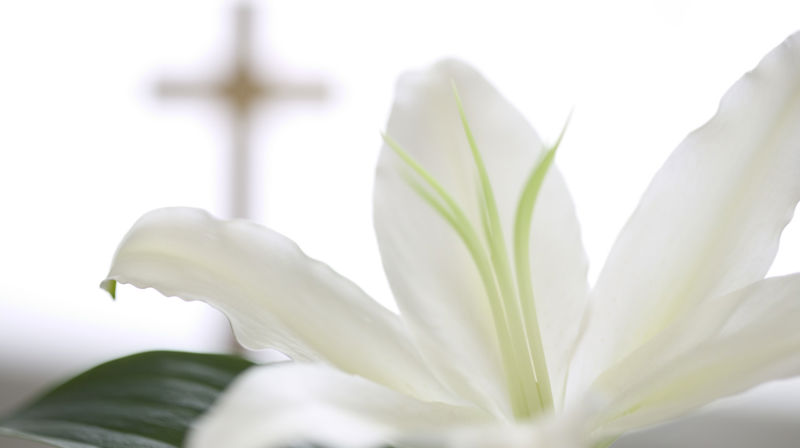 Velkommen til åpen kirke