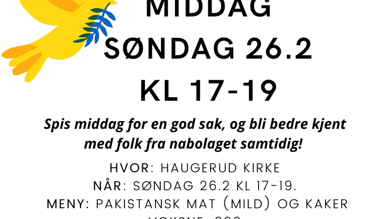 Solidaritetsmiddag for Ukraina