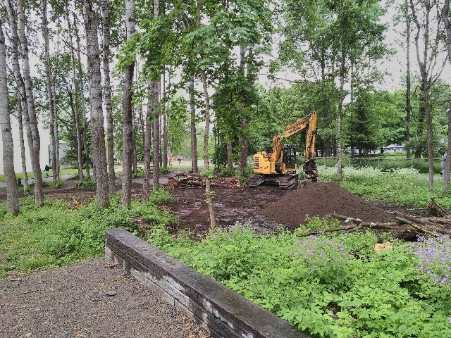 Haugerudparken - Biologisk mangfold og park i lokalmiljøet?!