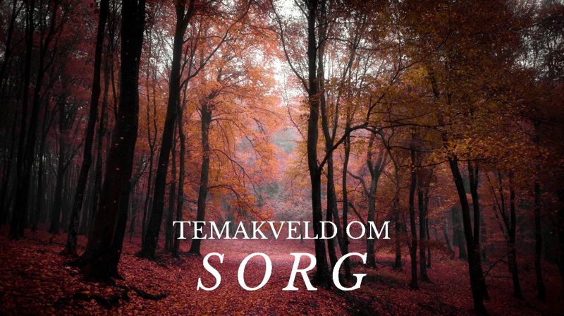 Temakveld om sorg 1.november