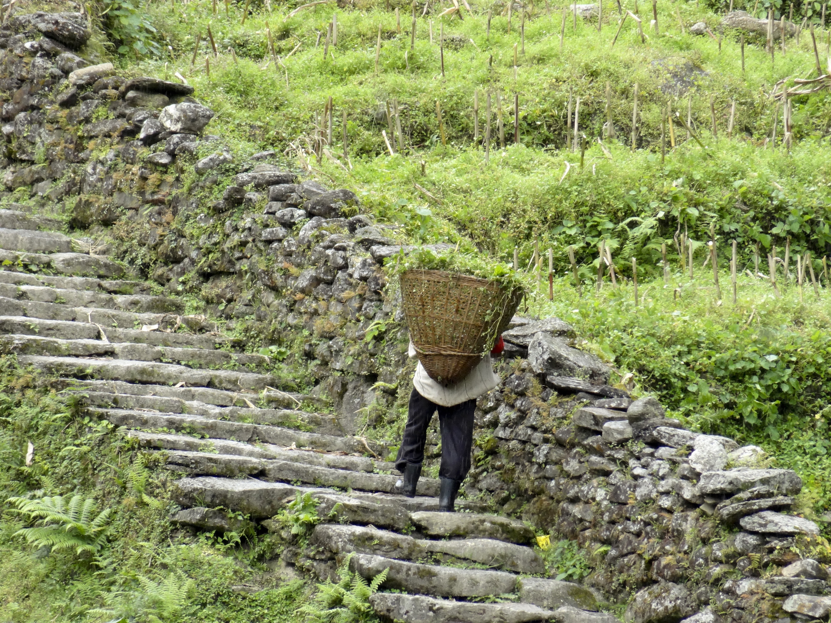 Bildet er et illustrasjonsfoto fra Nepal tatt av Einar Horsberg 