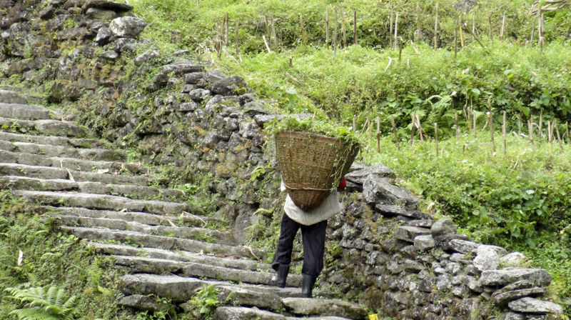 RESILIENS – jazzkonsert for psykisk helse i Nepal 13. oktober i Haugerud kirke