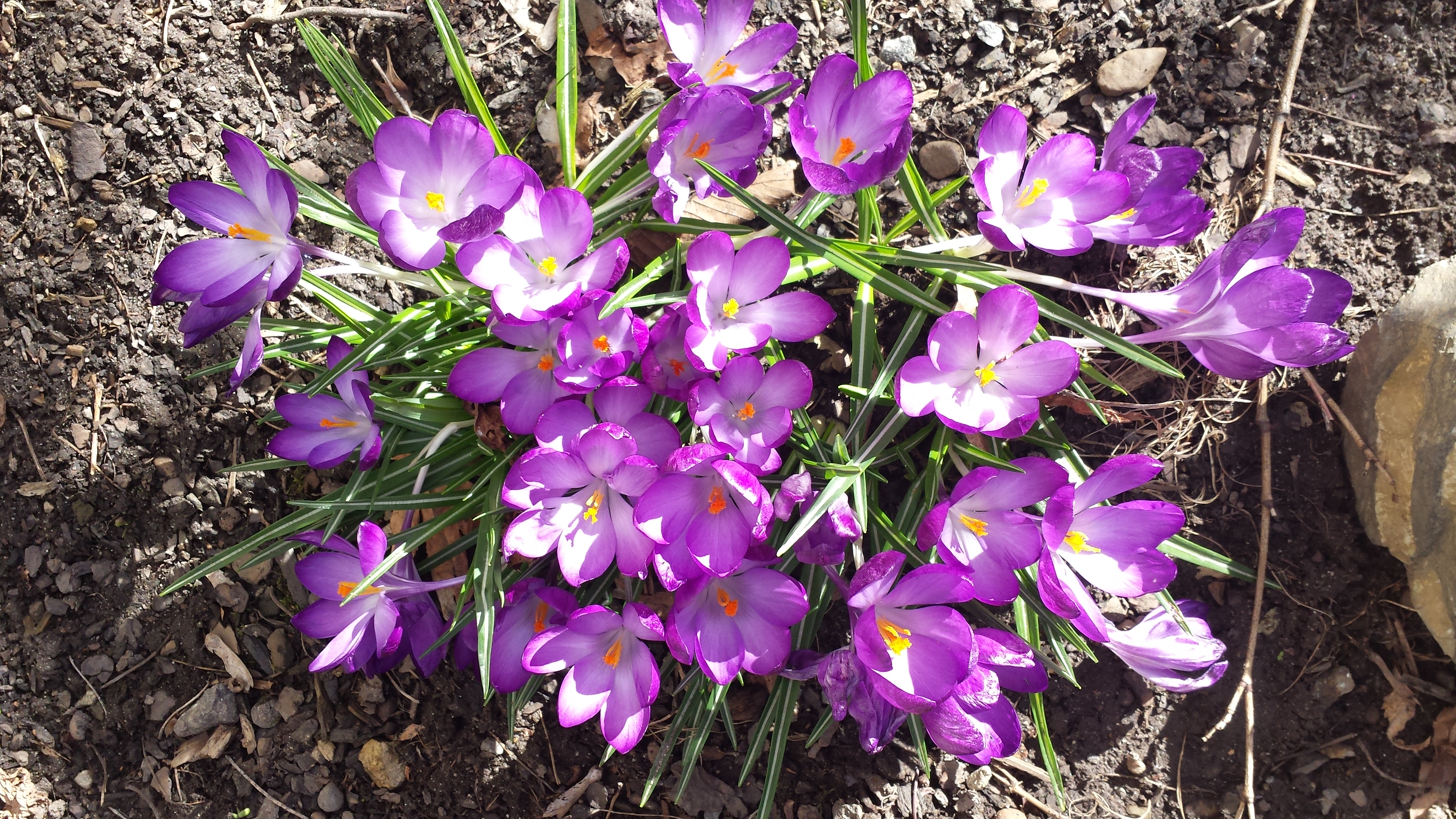 Vil du støtte arbeidet vårt?