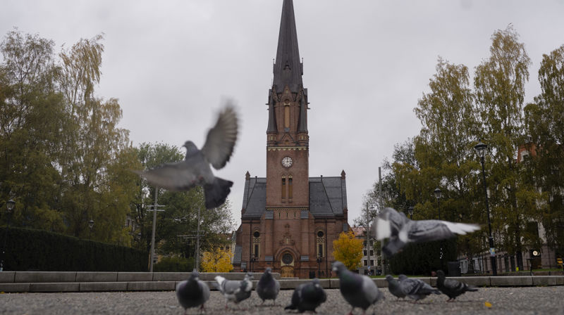 Foto: Siv Dolmen