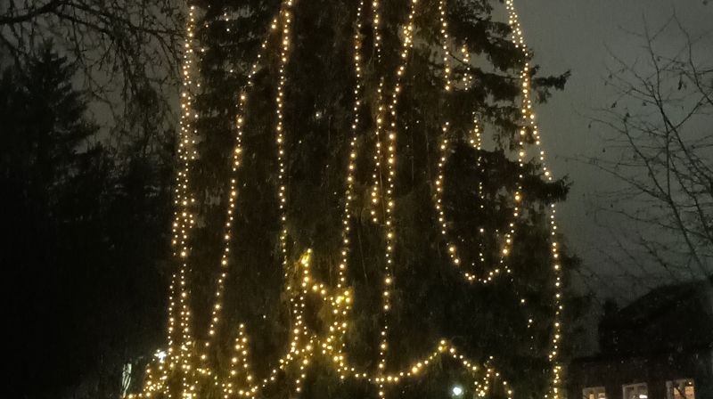 Oppdatering om juletrelys