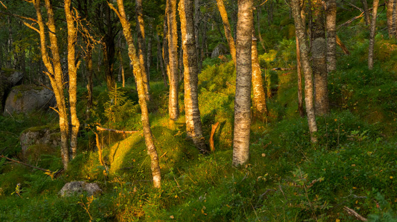 Familietur og gudstjeneste i Sørkedalen