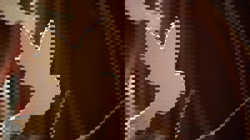 Familiegudstjeneste med dåpsduer