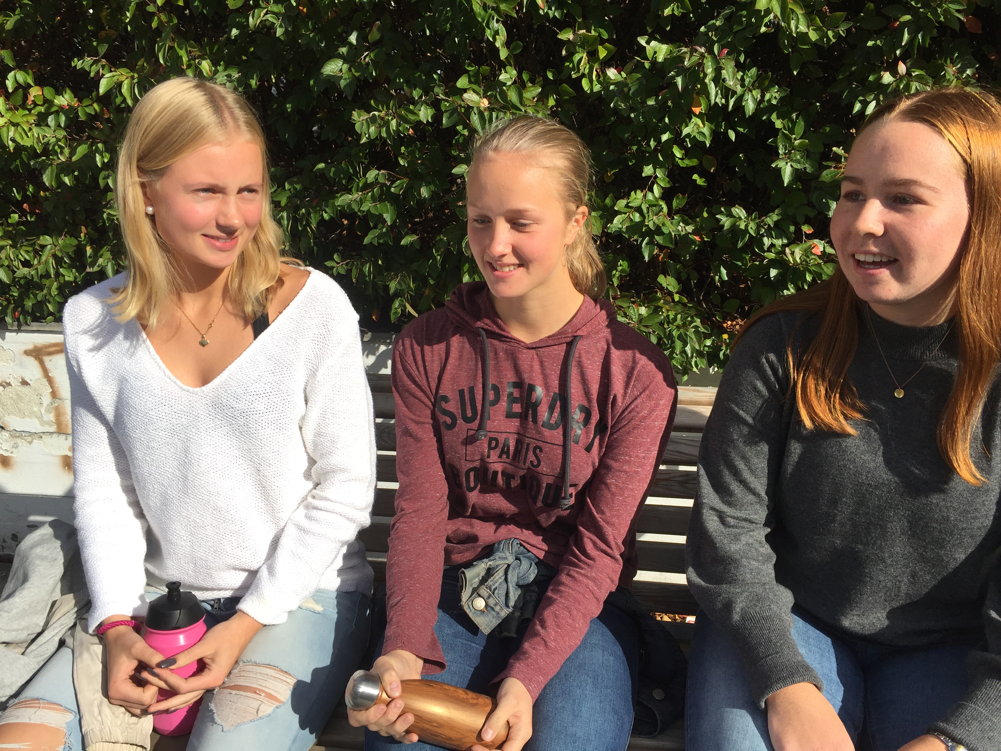 Et skolefag i nærmiljøet