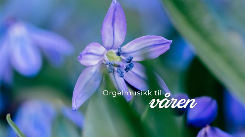 Orgelmusikk til våren