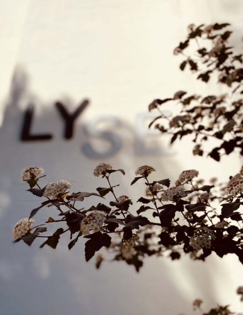 Oppstart av faste aktiviteter                Høsten 2022