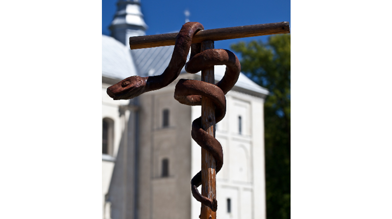 bilde fra Pixabay (Bronislaw Drozne)