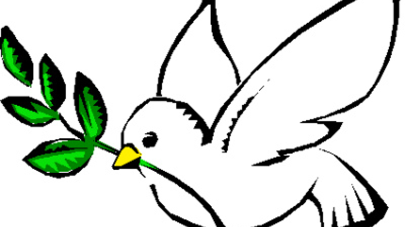 Pinse rundt Gamle Aker kirke