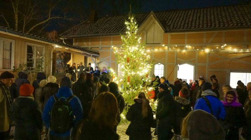 Pilegrimsdag med julemarked 2019!