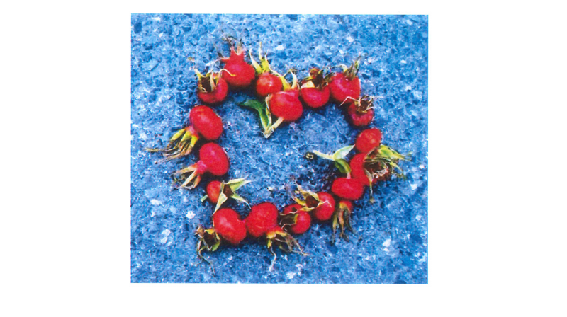 Foto: Gyda Wirgenes Singstad