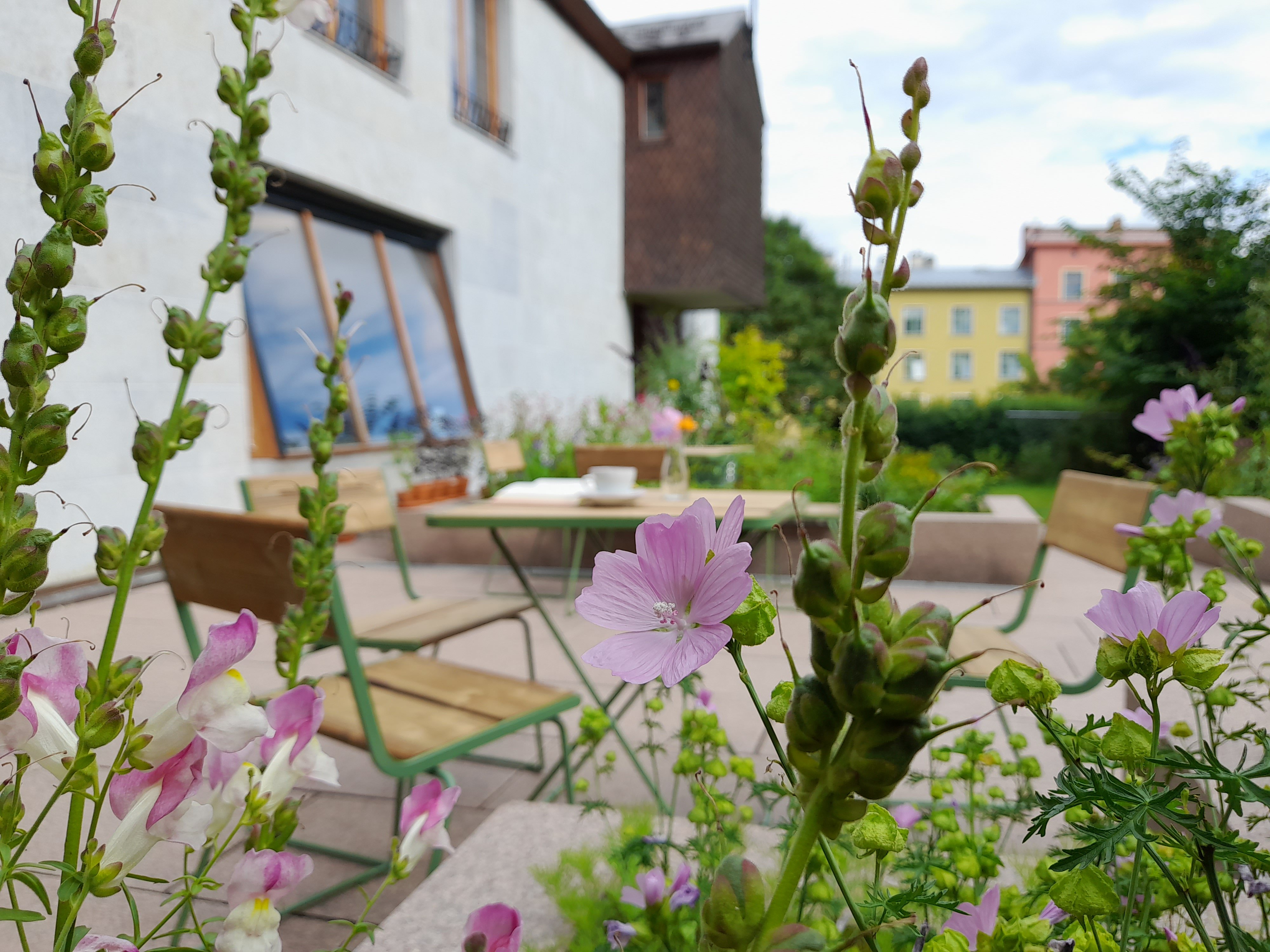 Foto: Andrine Elnes Rabbevåg