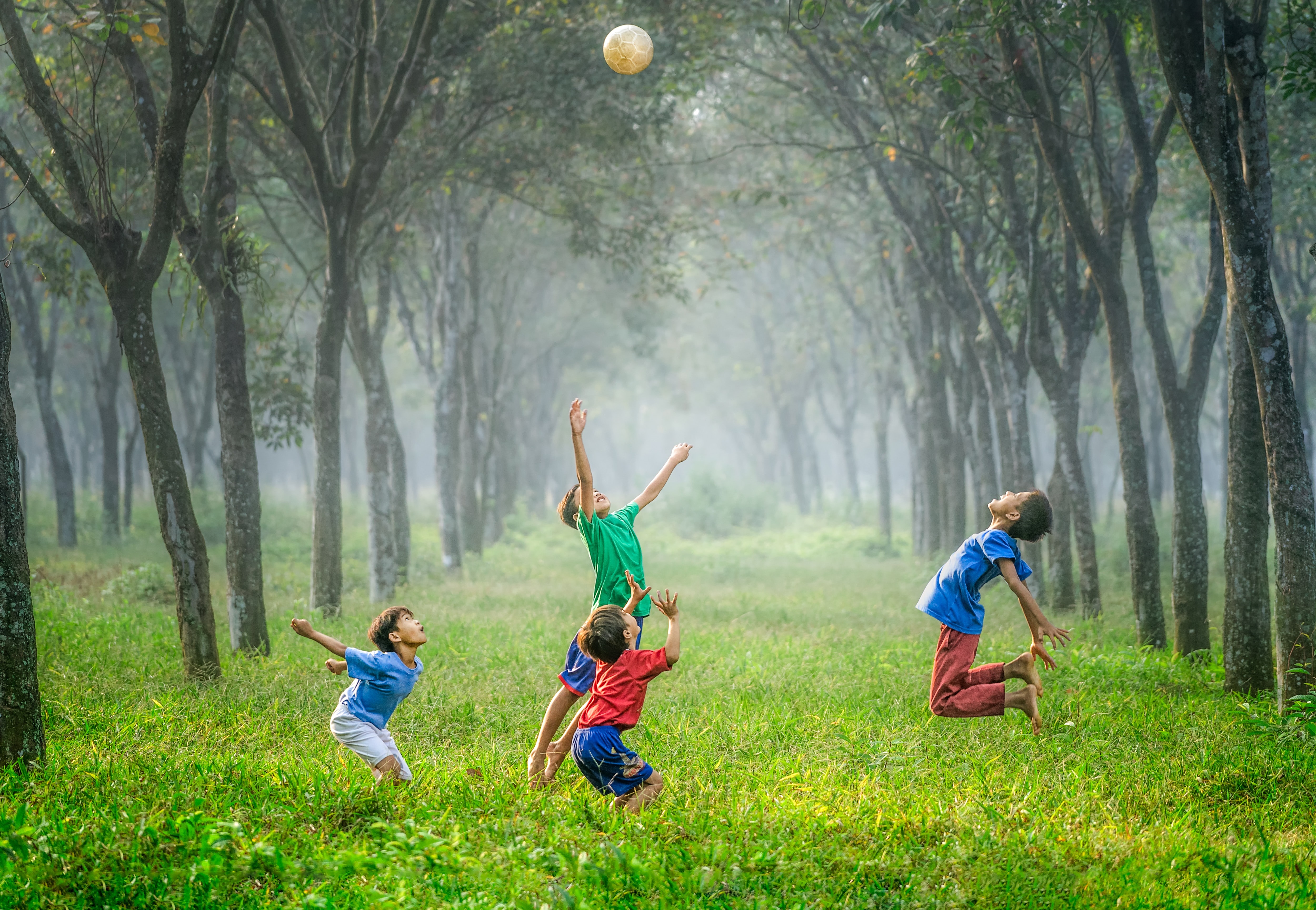 Det handler om lek, vennskap og om trær på førskolesamlingene i Torshov og Lilleborg menighet. Foto: Unsplash