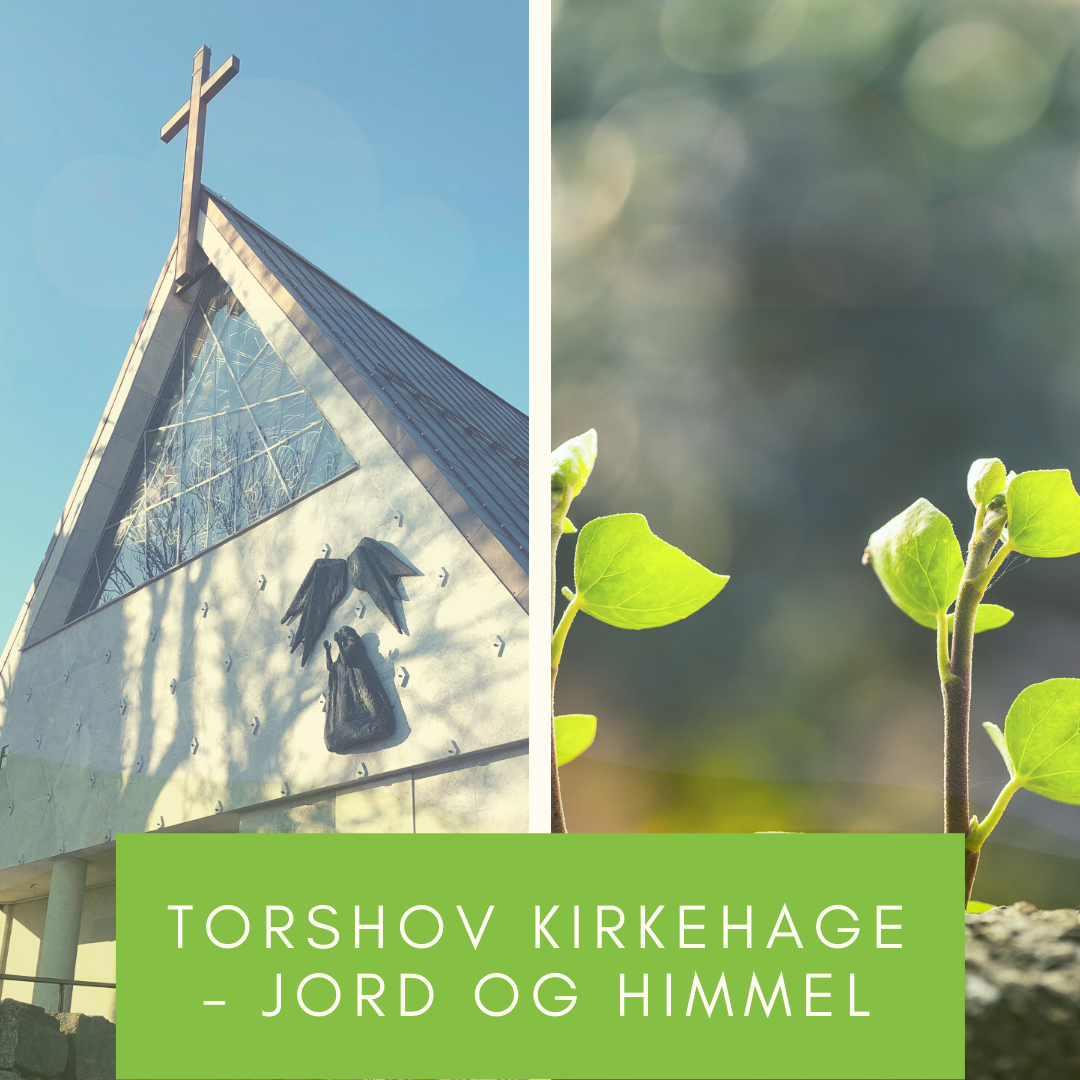 Grønn menighet – Torshov kirkehage 