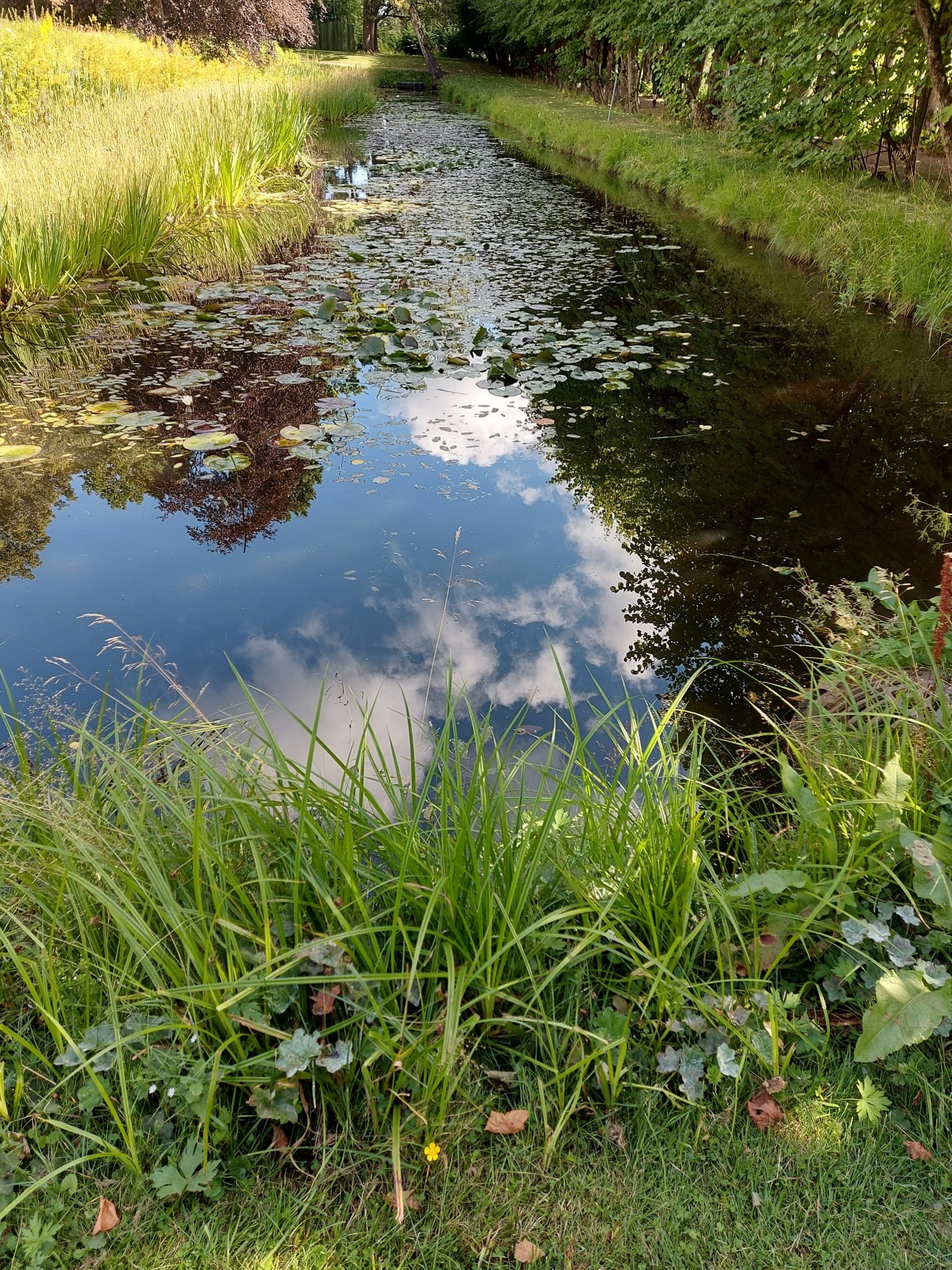 Tekst og foto: Hanne Slåtten