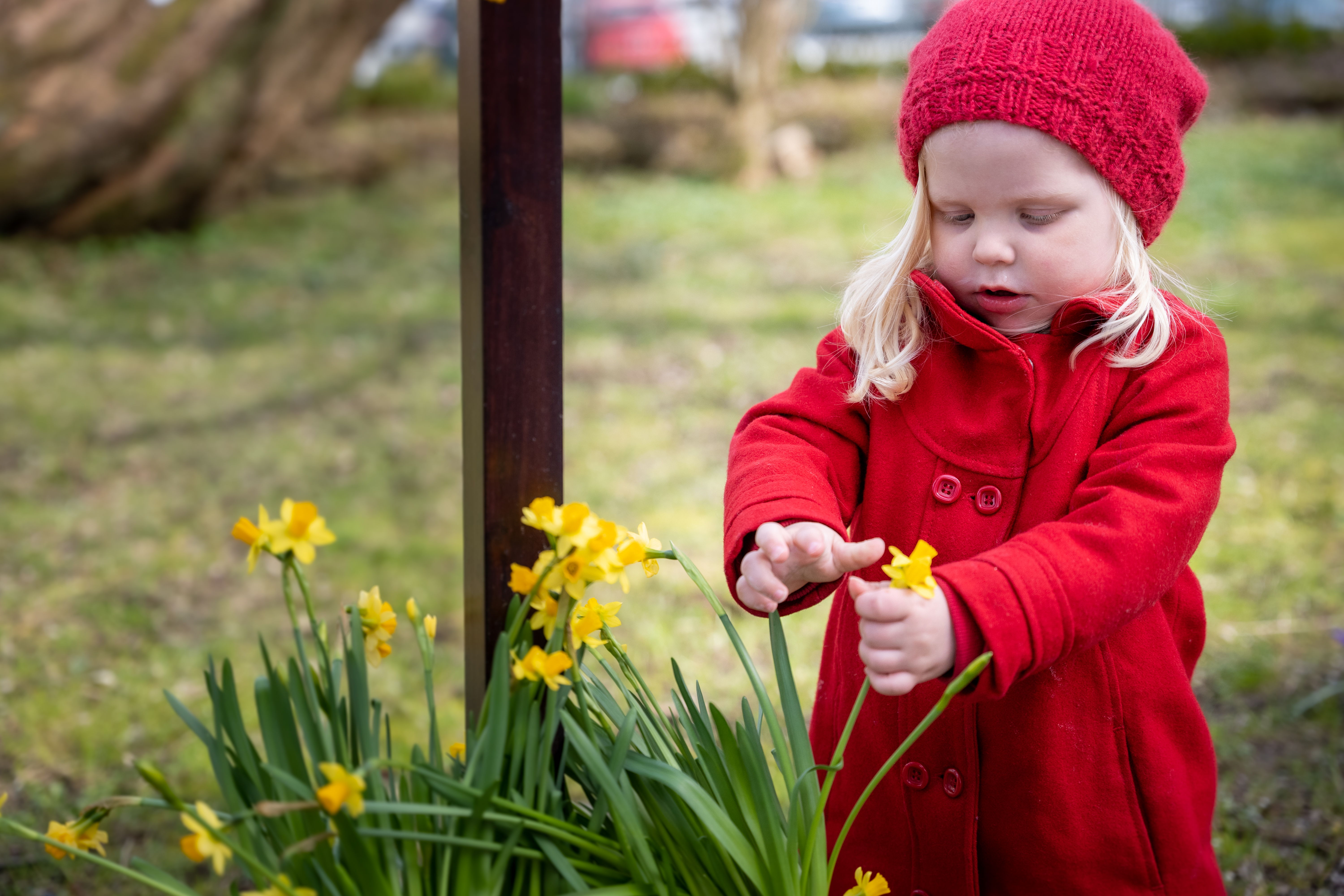 Tema for Kyrkjemøtet og tittelen på Den norske kyrkja sin strategi er "Meir himmel på jord". Foto: Den norske kirke / Terje Peersen