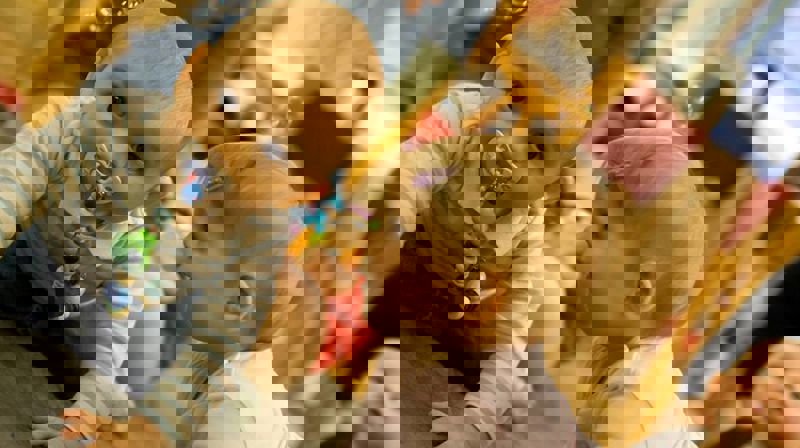 UrraBarn og UrraTweens