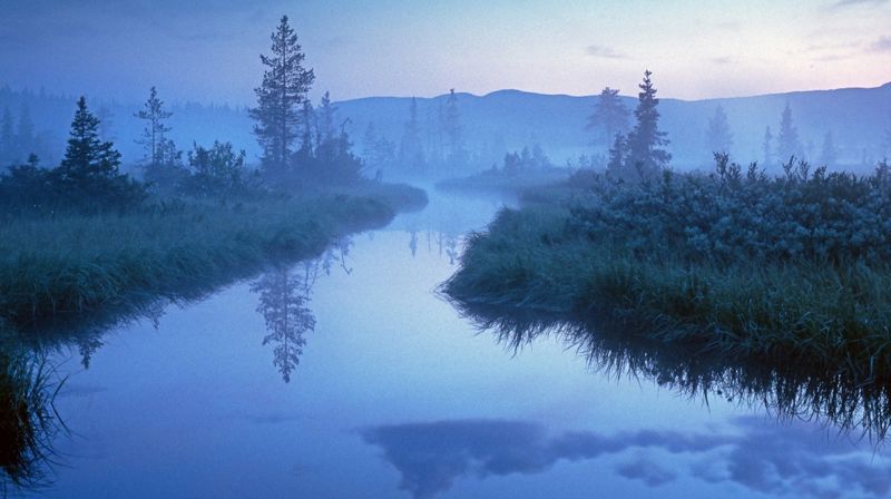 Foto: Hans Jacob Finstad