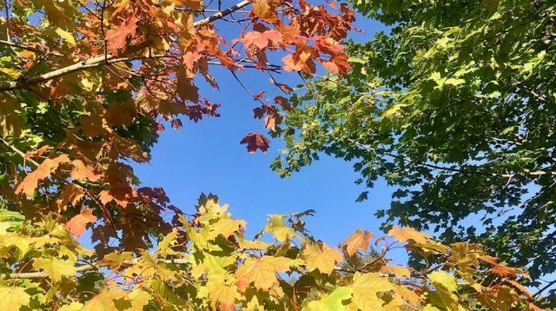 Onsdagskveld i Voksen 8. september kl 19.30