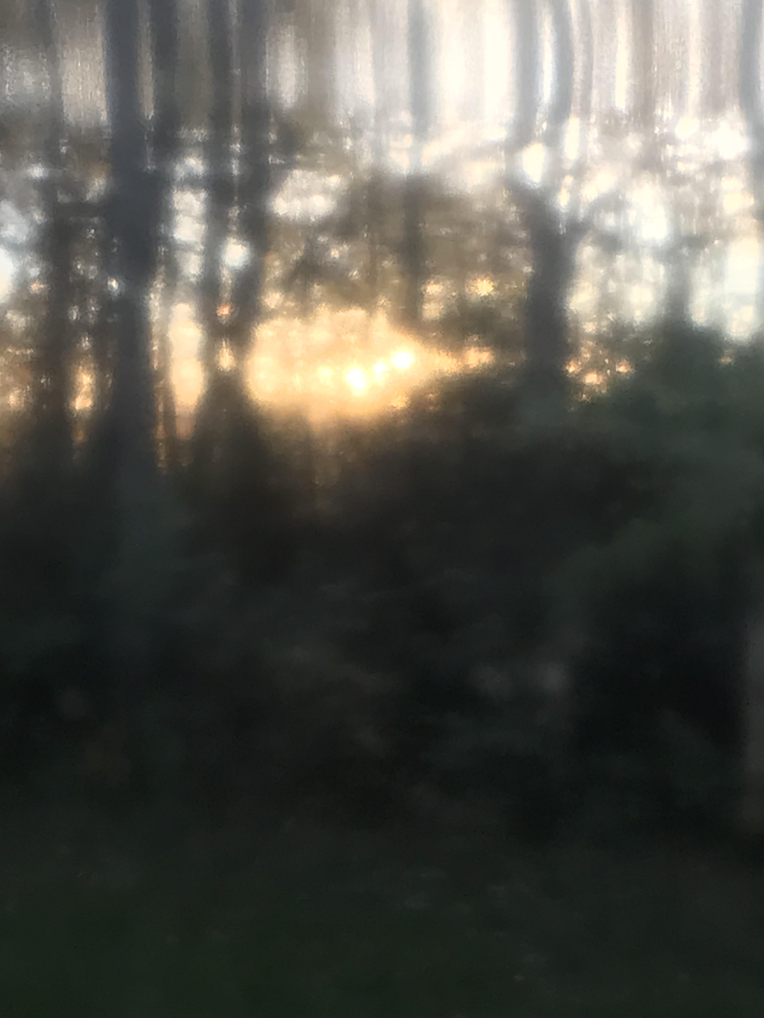 Allehelgensdag i Voksen kirke