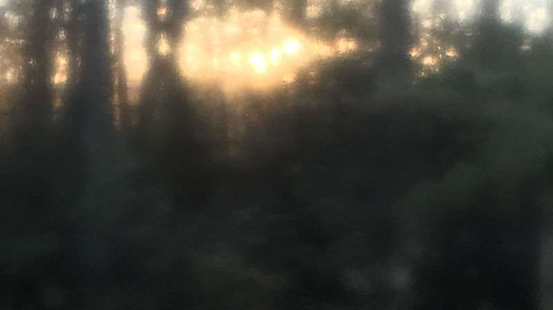 Allehelgensdag i Voksen kirke