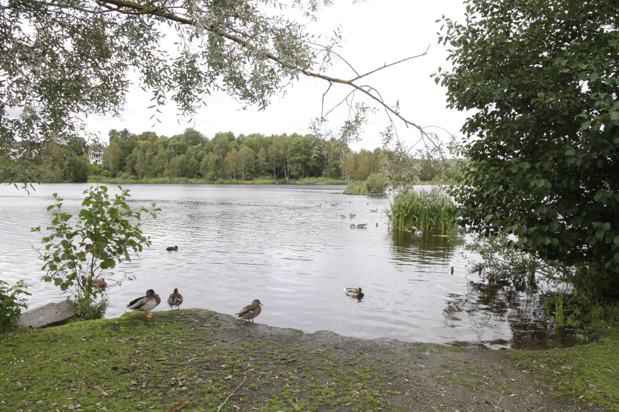 Velkommen med på busstur!