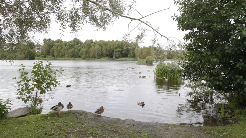 Velkommen med på busstur!