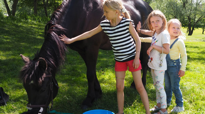 Strålende skaperverkets dag