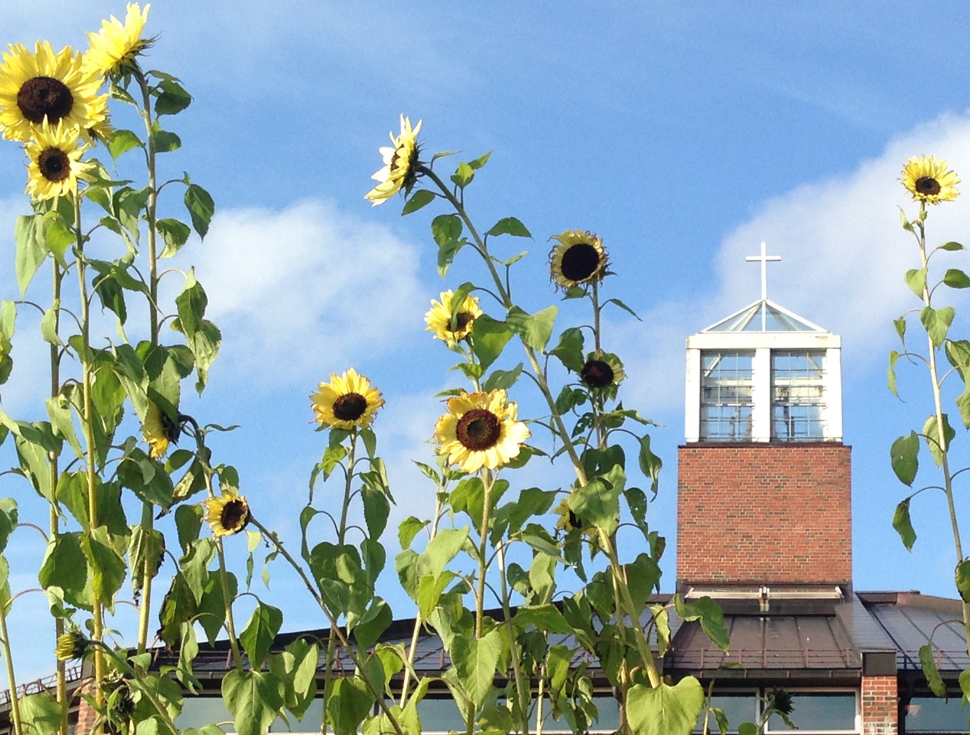 Å leve på lag med jorda - hverdagstiltak som virker