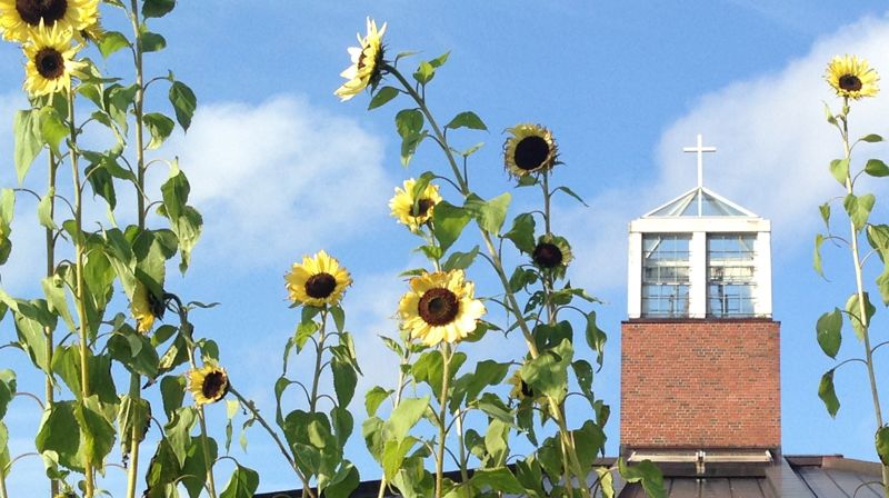 Å leve på lag med jorda - hverdagstiltak som virker