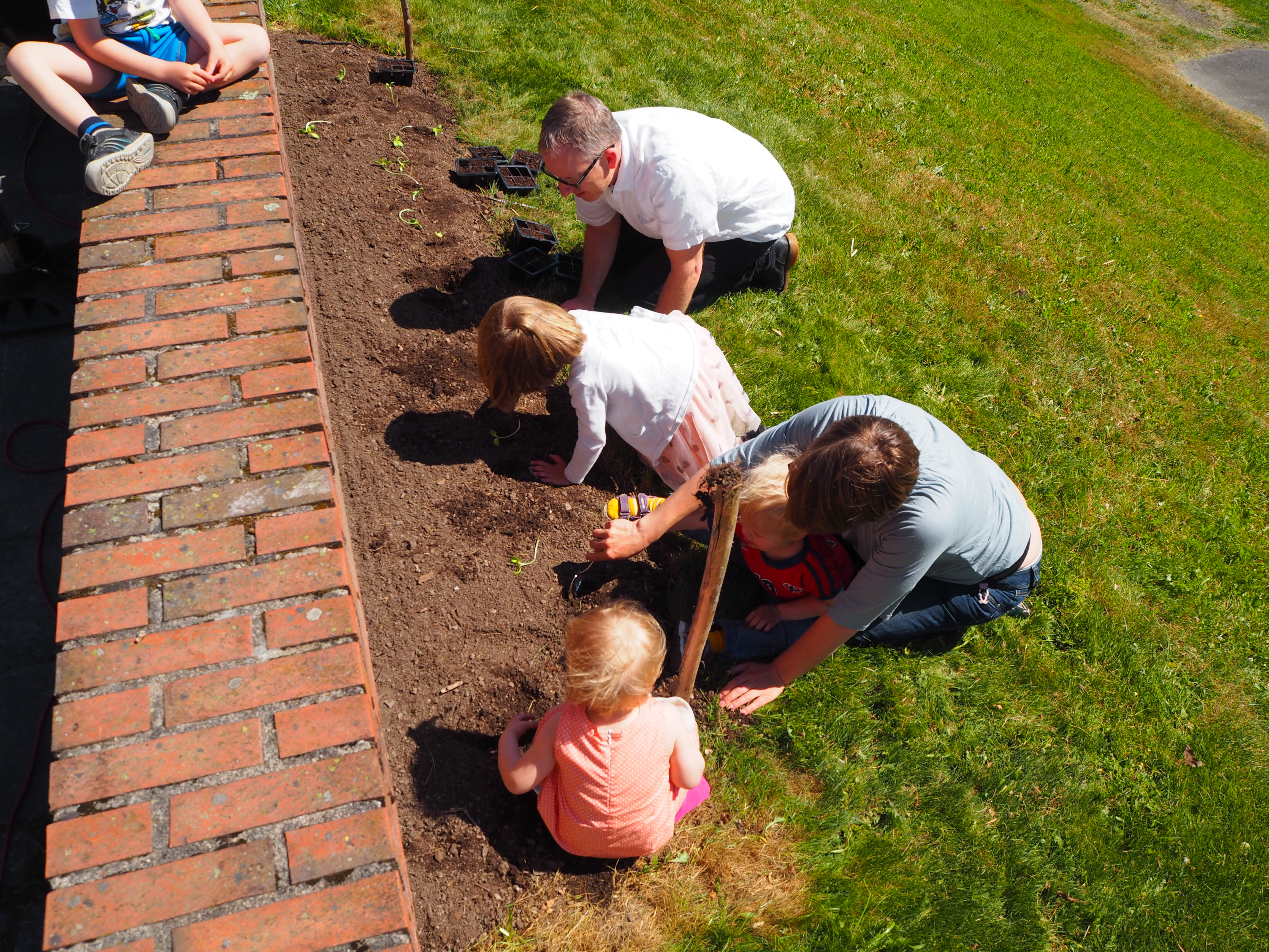 Islandshesten Baldur