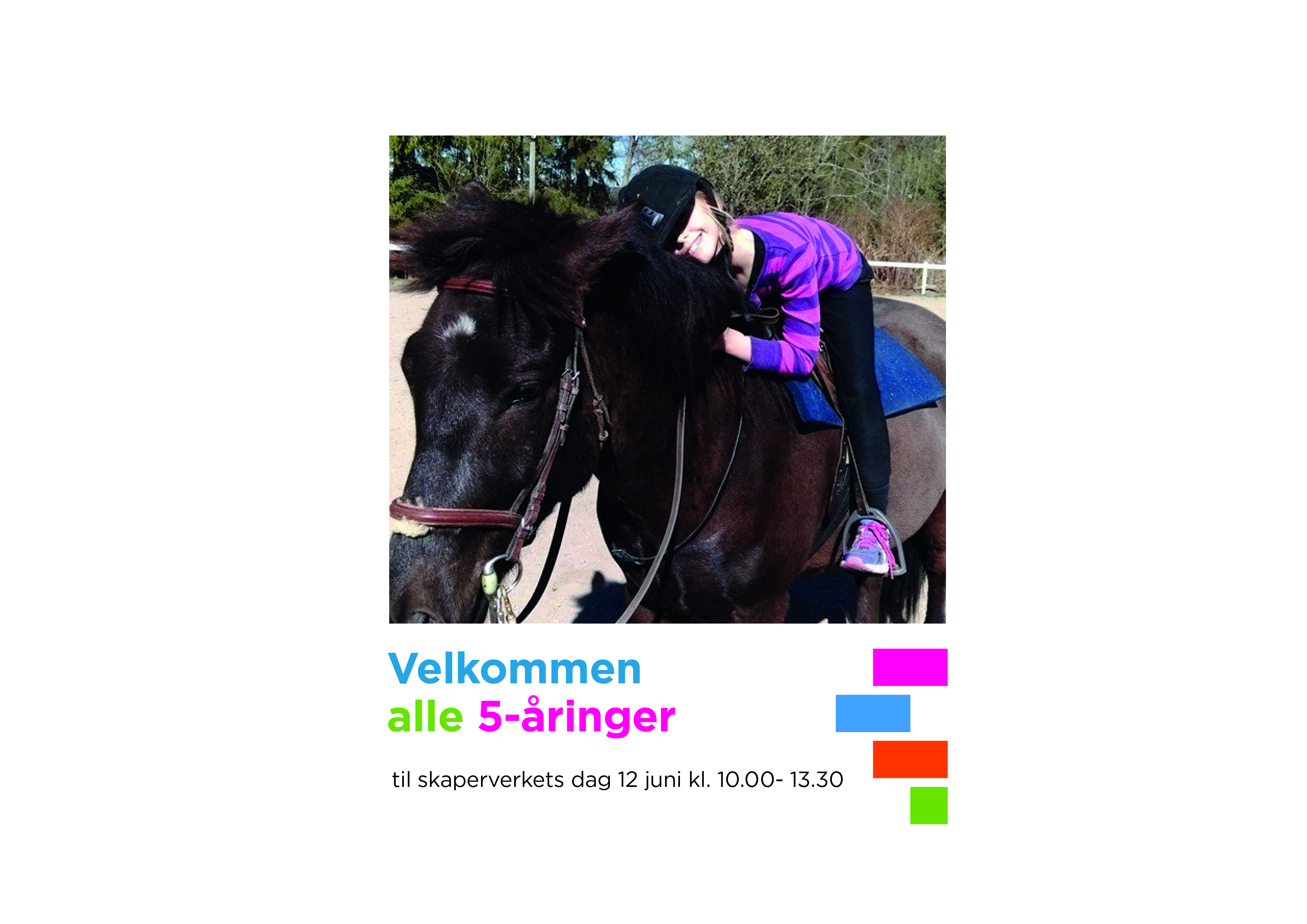 Islandshesten Baldur