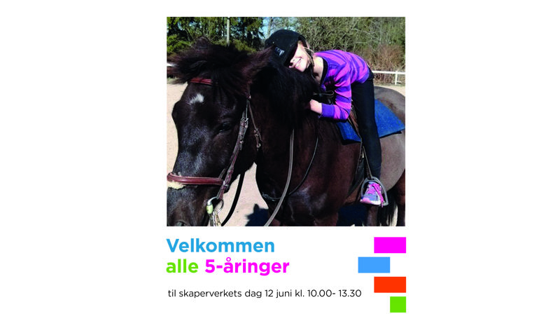 Islandshesten Baldur